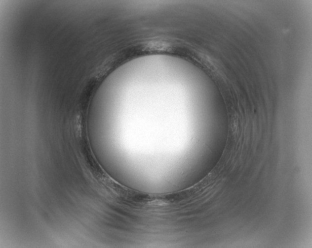 X0000073900551200608110938