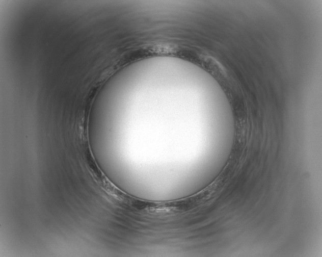 X0000073900553200608110938