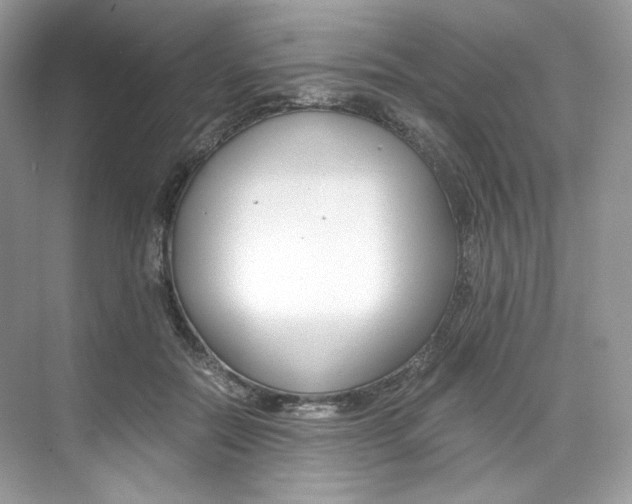 X0000073900554200608110938