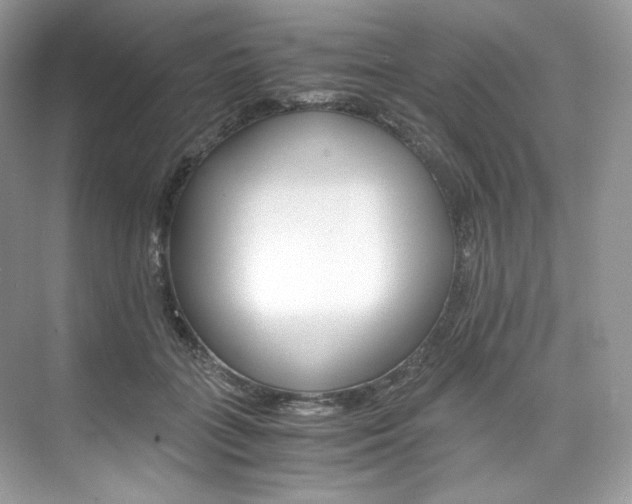 X0000073900555200608110938