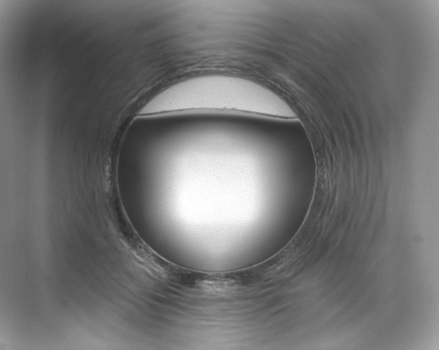 X0000073900556200608110938