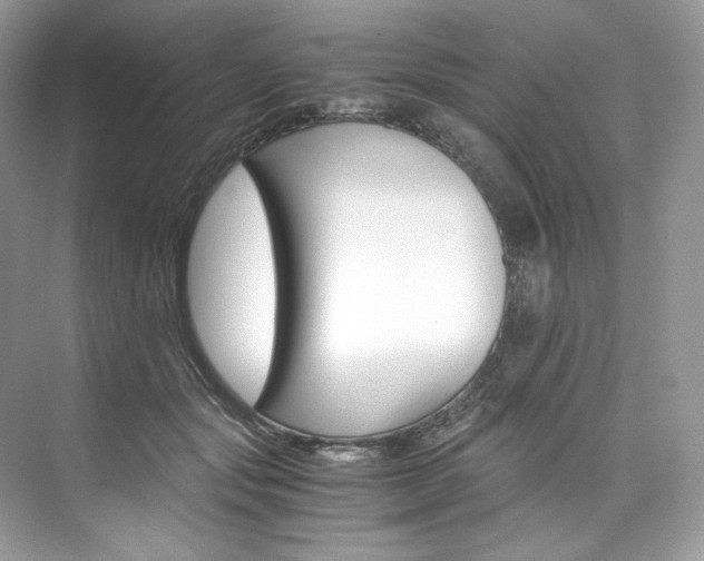 X0000073900557200608110938