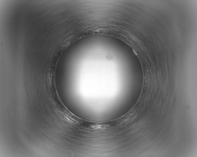X0000073900558200608110938
