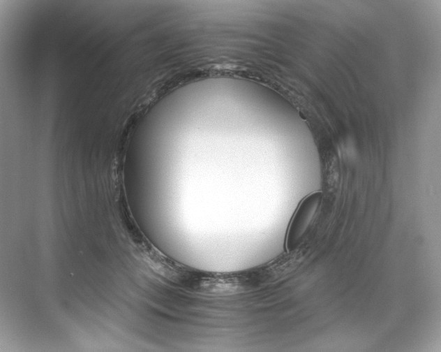 X0000073900559200608110938