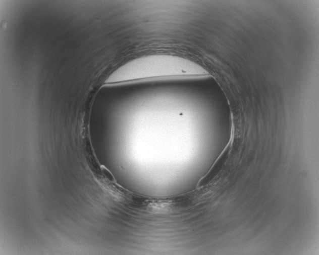 X0000073900560200608110938