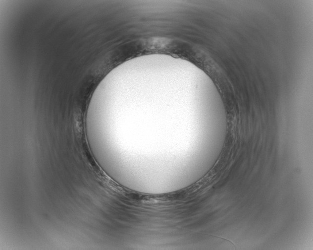 X0000073900561200608110938