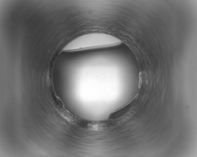 X0000073900564200608110938