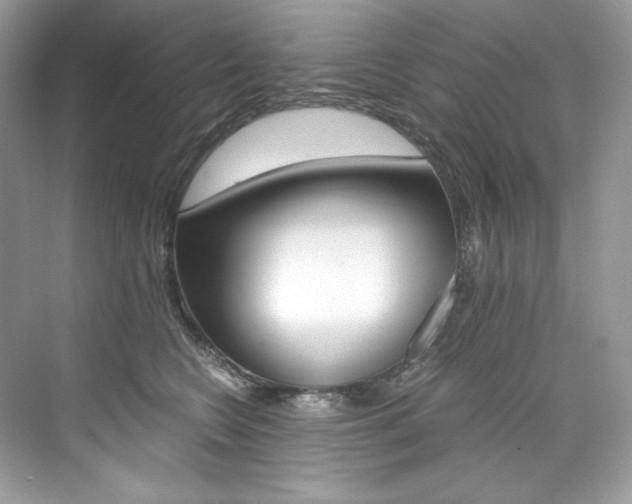 X0000073900566200608110938