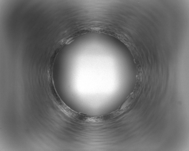 X0000073900568200608110938