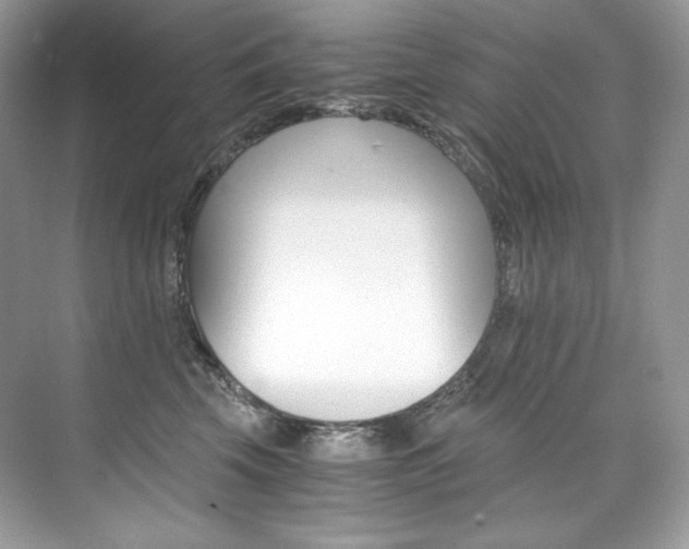 X0000073900569200608110939