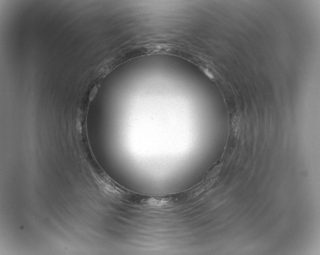 X0000073900570200608110939