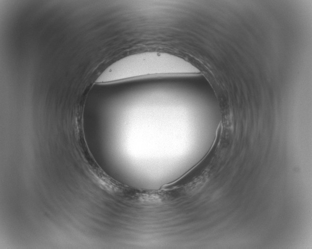 X0000073900572200608110939