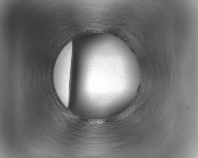 X0000073900576200608110939