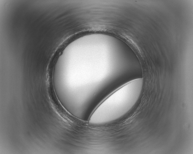 X0000073900584200608110938