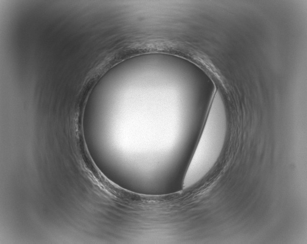 X0000073900585200608110938