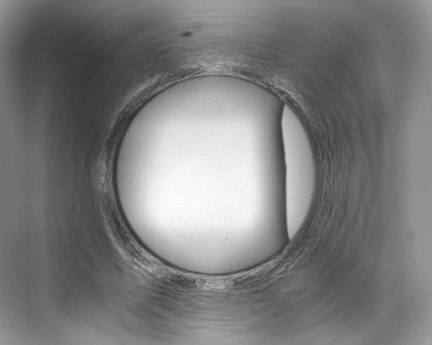 X0000073900587200608110938