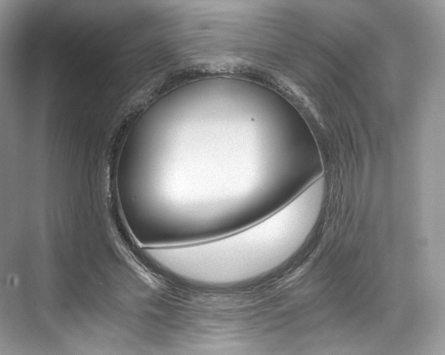 X0000073900589200608110938