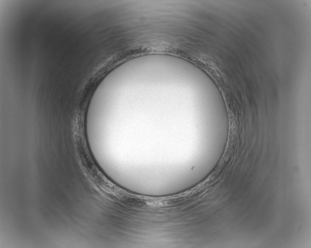 X0000073900591200608110938