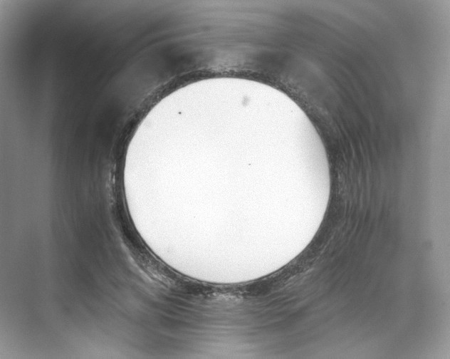 X0000073900592200608110938