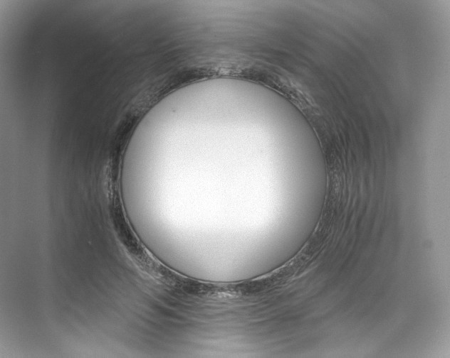 X0000073900594200608110938