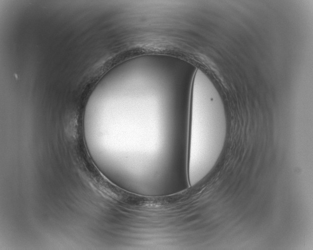 X0000073900596200608110938