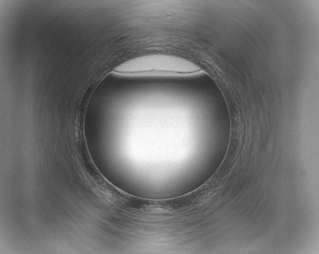 X0000073900597200608110937