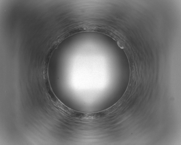 X0000073900604200608110937