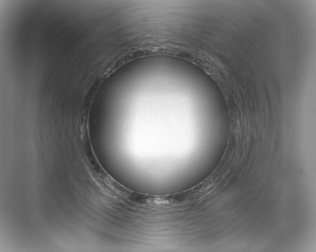 X0000073900607200608110937