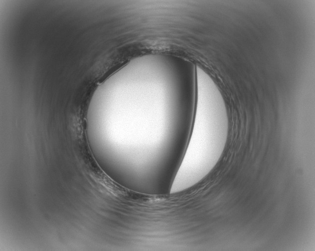 X0000073900609200608110937
