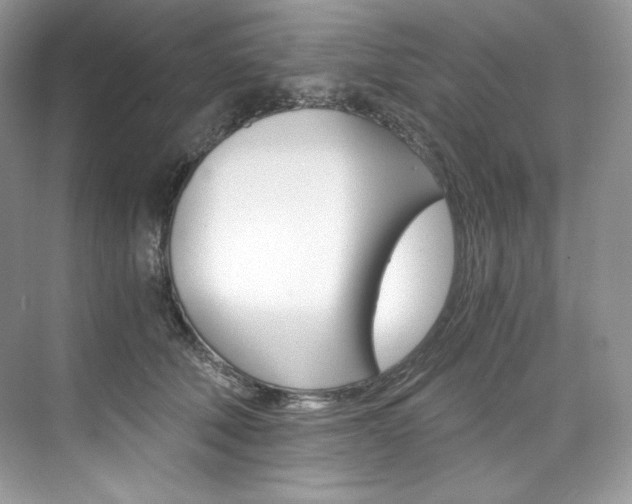 X0000073900610200608110937