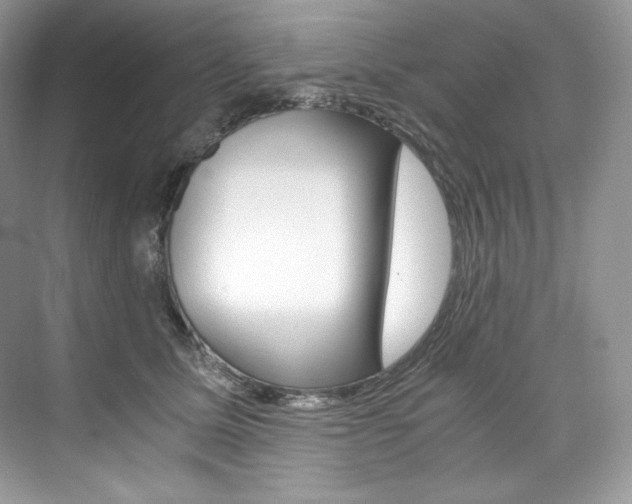 X0000073900611200608110937