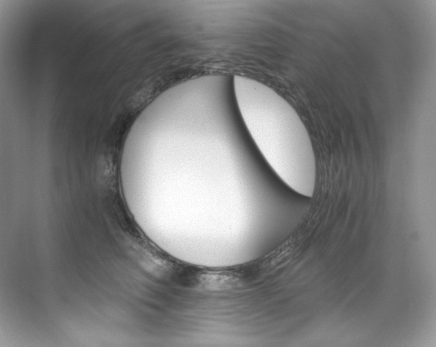 X0000073900614200608110937