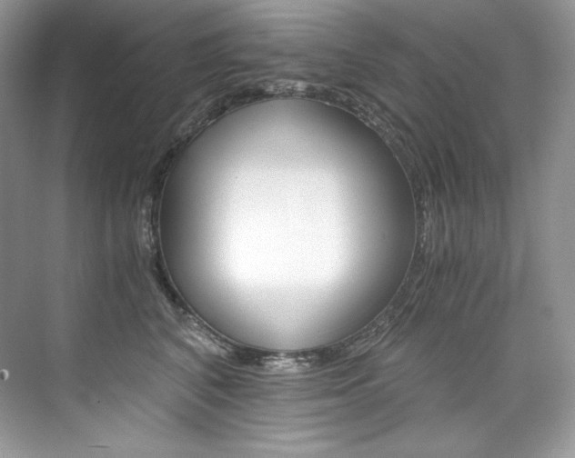X0000073900616200608110937