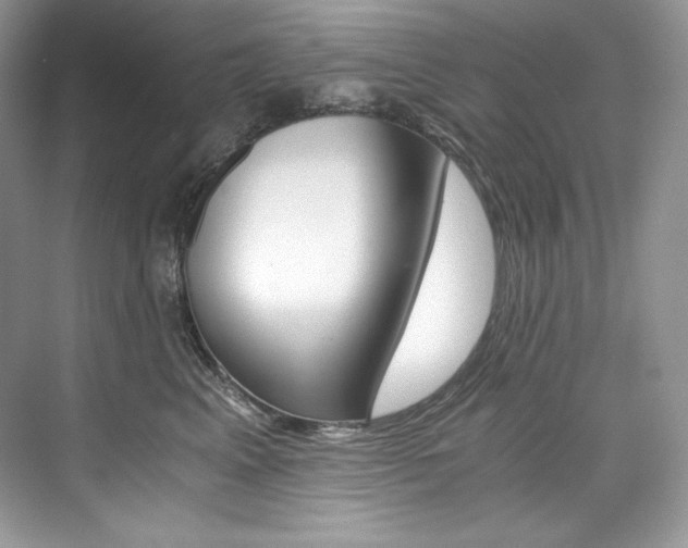 X0000073900617200608110937