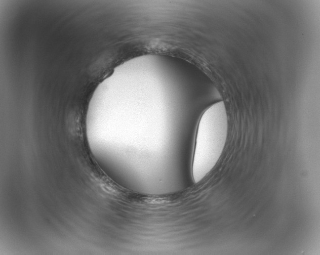 X0000073900619200608110937