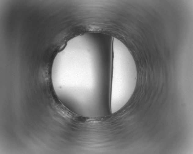 X0000073900620200608110937