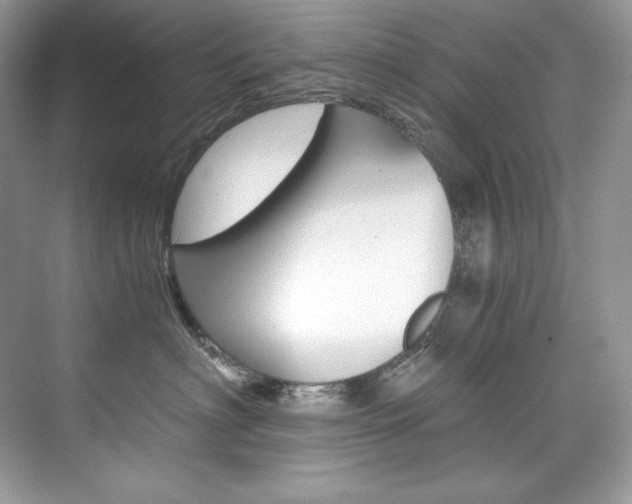 X0000073900622200608110937