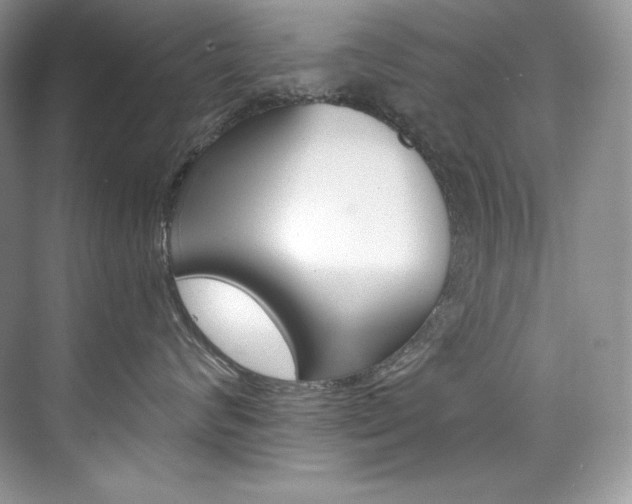 X0000073900624200608110937