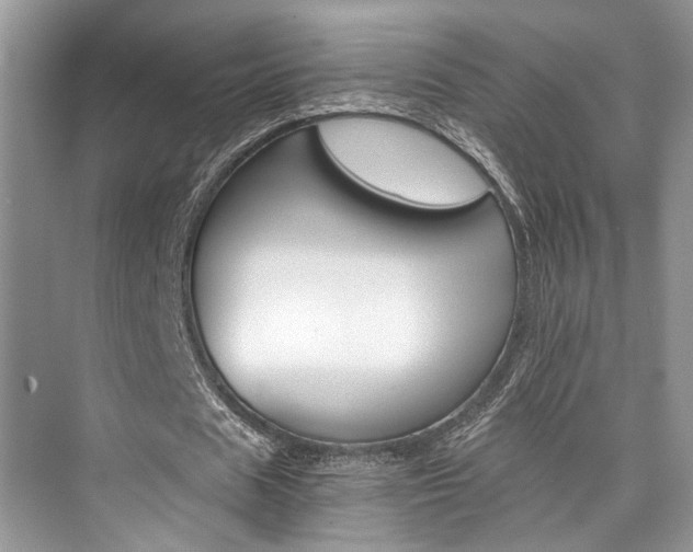 X0000073900625200608110936