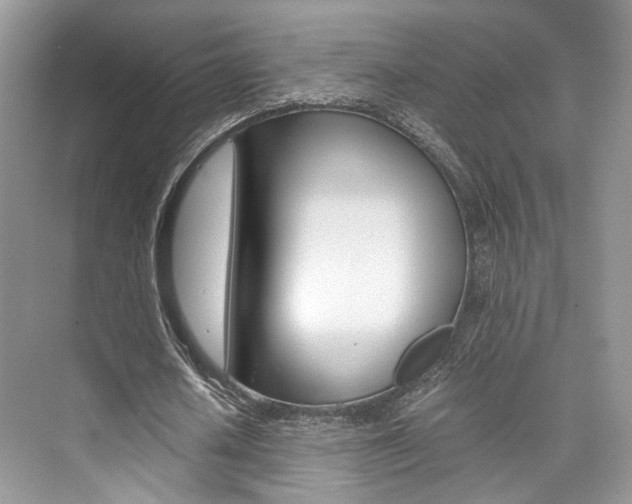 X0000073900626200608110936