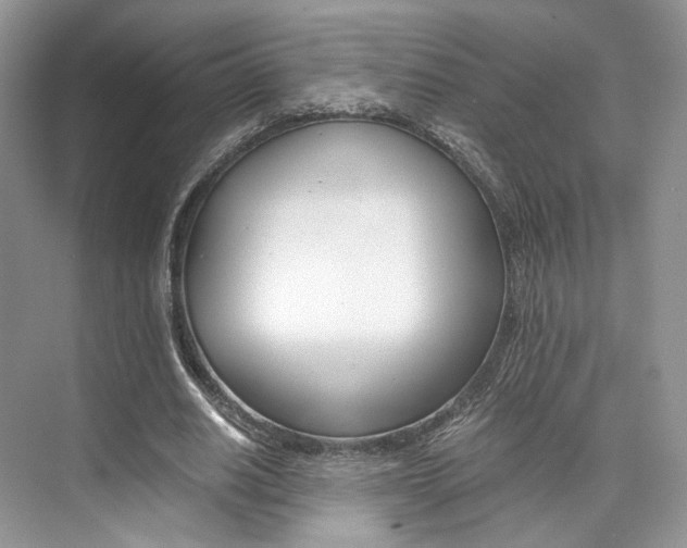 X0000073900630200608110936