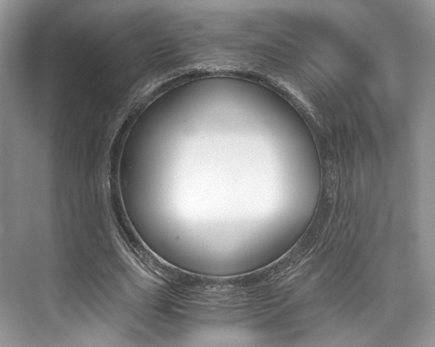 X0000073900631200608110936