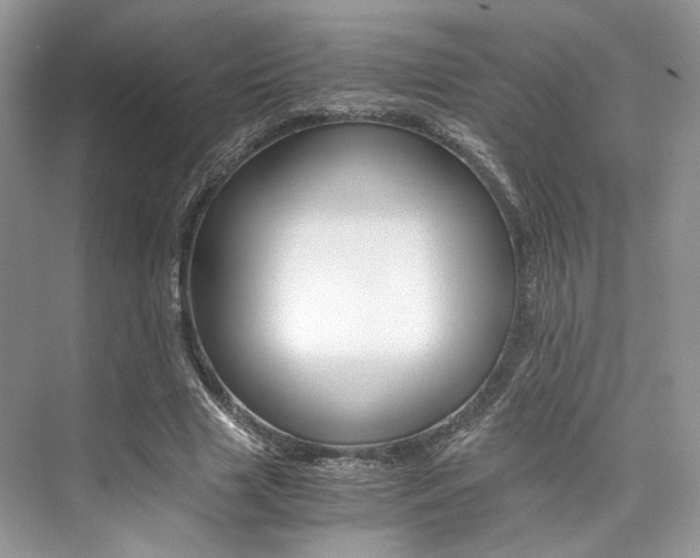 X0000073900633200608110936