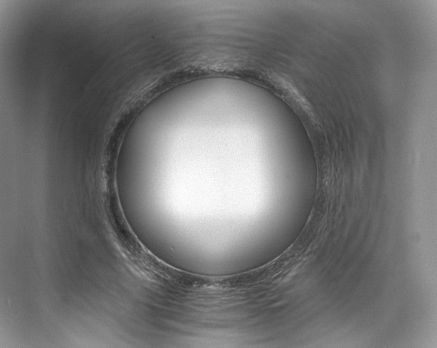 X0000073900635200608110936