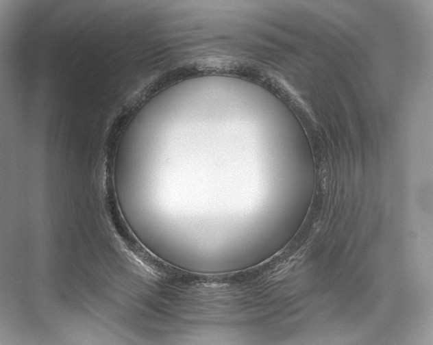 X0000073900637200608110936