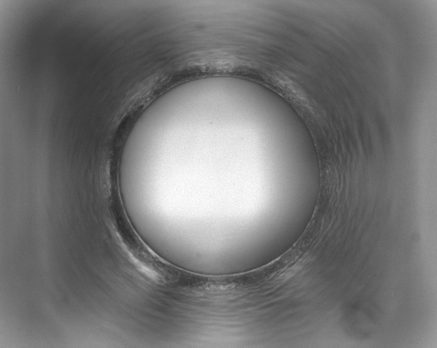 X0000073900638200608110936