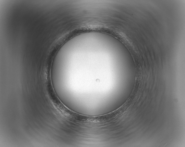 X0000073900640200608110936