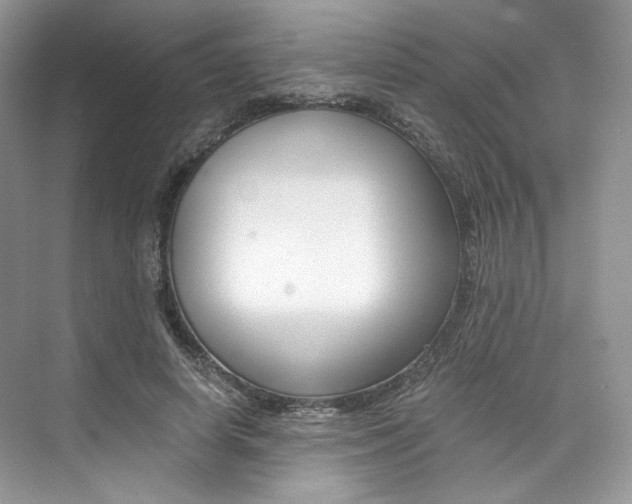 X0000073900642200608110937