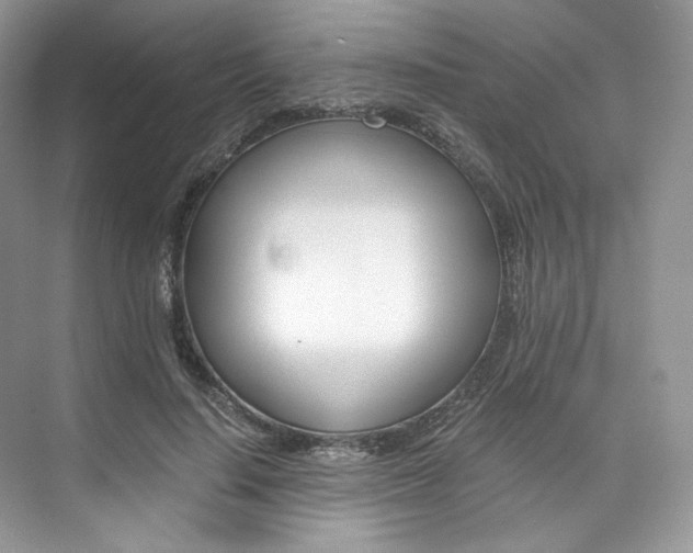 X0000073900644200608110937