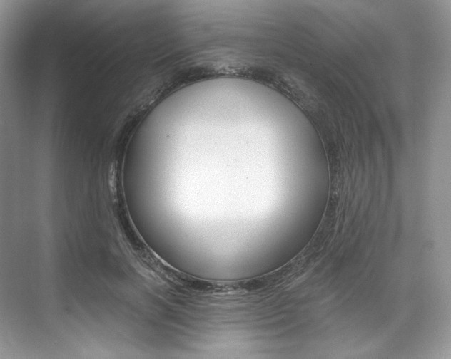 X0000073900646200608110937
